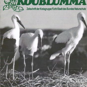 Koublumma 1-1988 zu Weißstörchen in Fürth