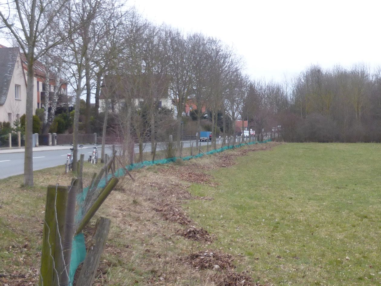 Krötenzaun an der Geißäckerstraße in Burgfarrnbach