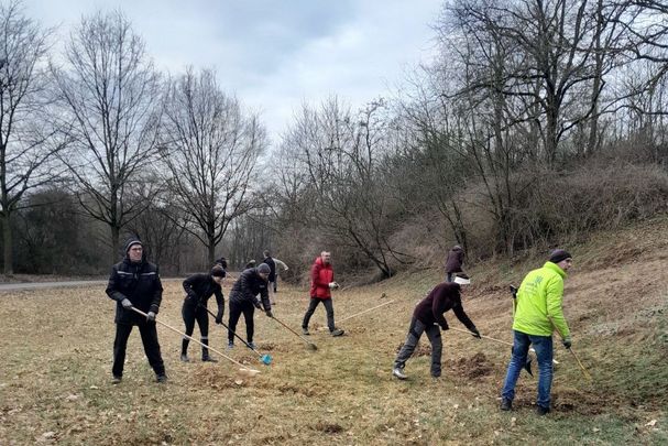 Sandachse Franken Biotoppflege BUND Naturschutz Fürth