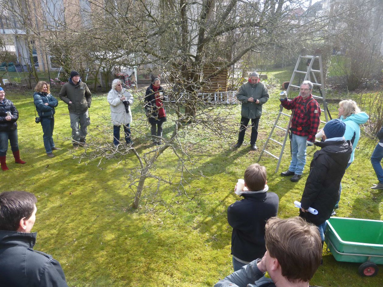 Obstbaumschnittkurs