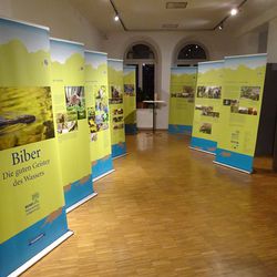 BN-Biberausstellung im Stadtmuseum Fürth