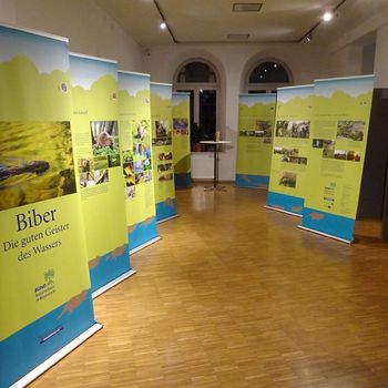 BN-Biberausstellung im Stadtmuseum Fürth