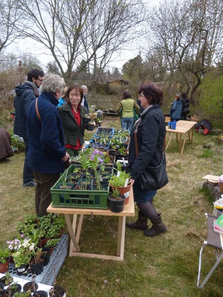 BN-Pflanzenbörse 2015