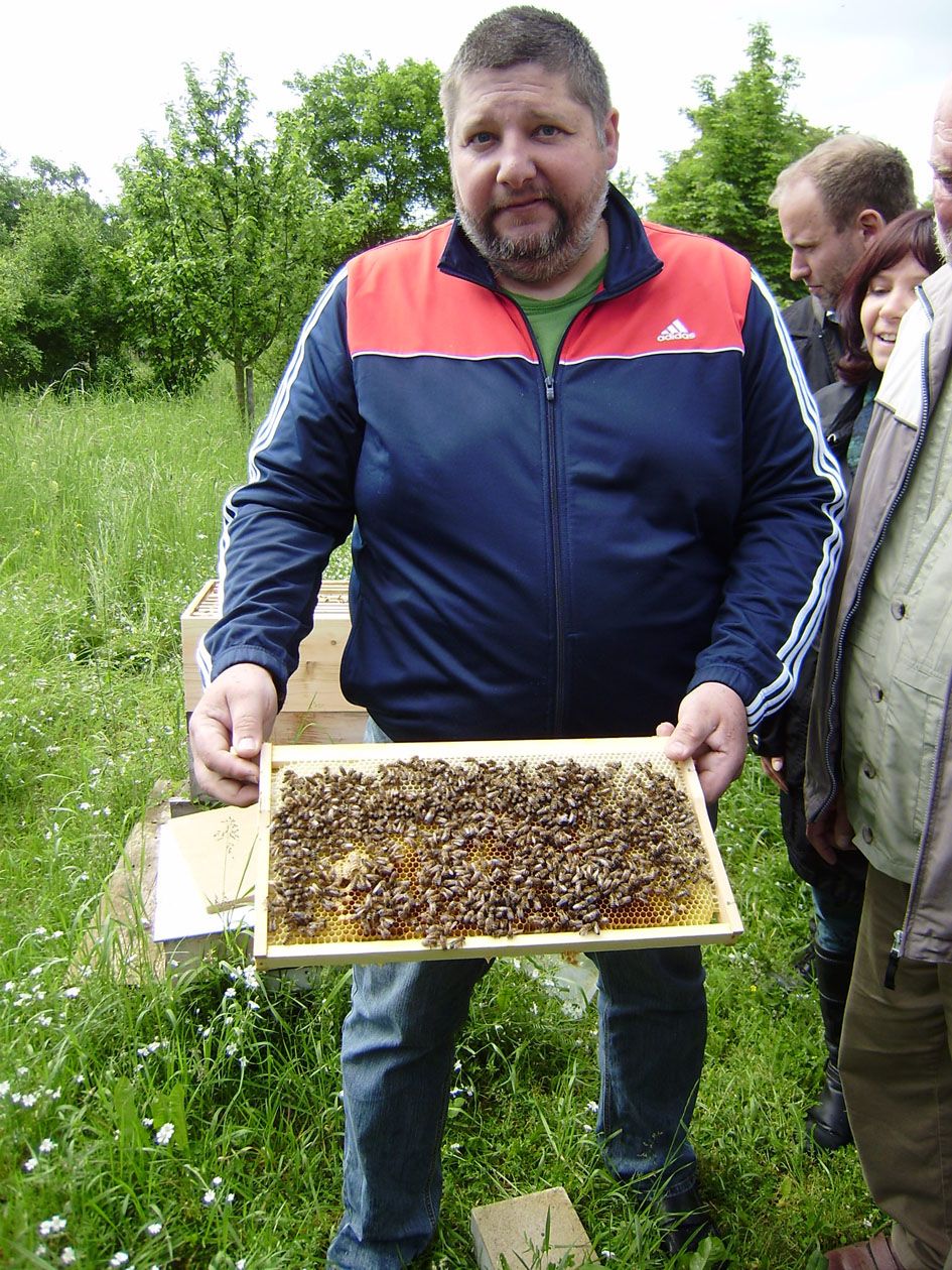 Foto: Reinhard Scheuerlein Fürth Artenvielfalt 2013