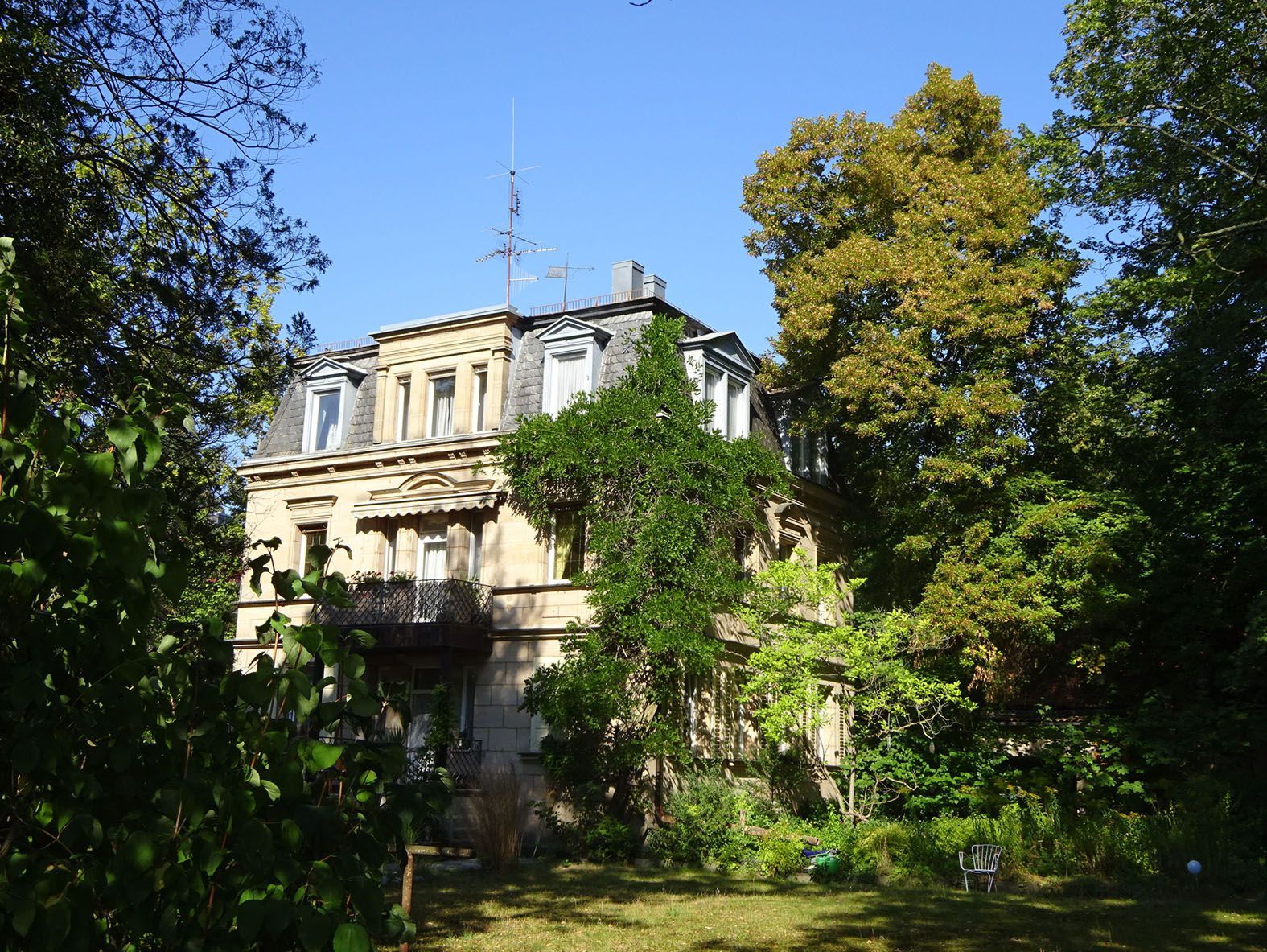 Baumbestand auf Villengrundstück in der Fürther Südstadt