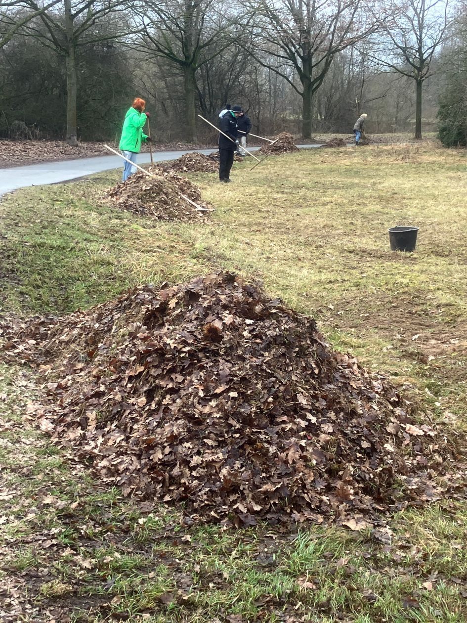 Sandachse Franken Biotoppflege BUND Naturschutz Fürth