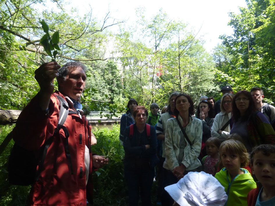 Beim Fürther Tag der Artenvielfalt 2015