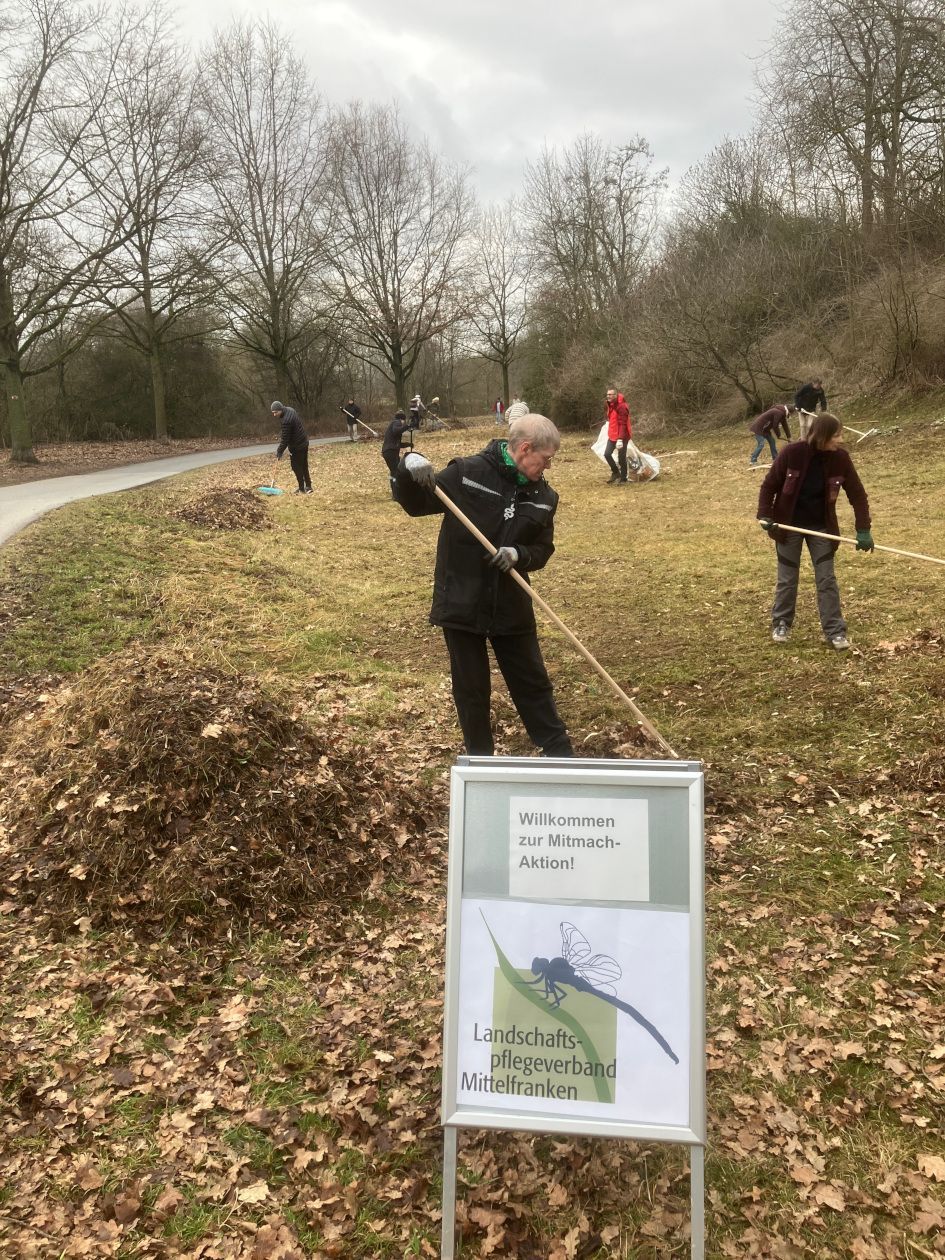 Sandachse Franken Biotoppflege BUND Naturschutz Fürth
