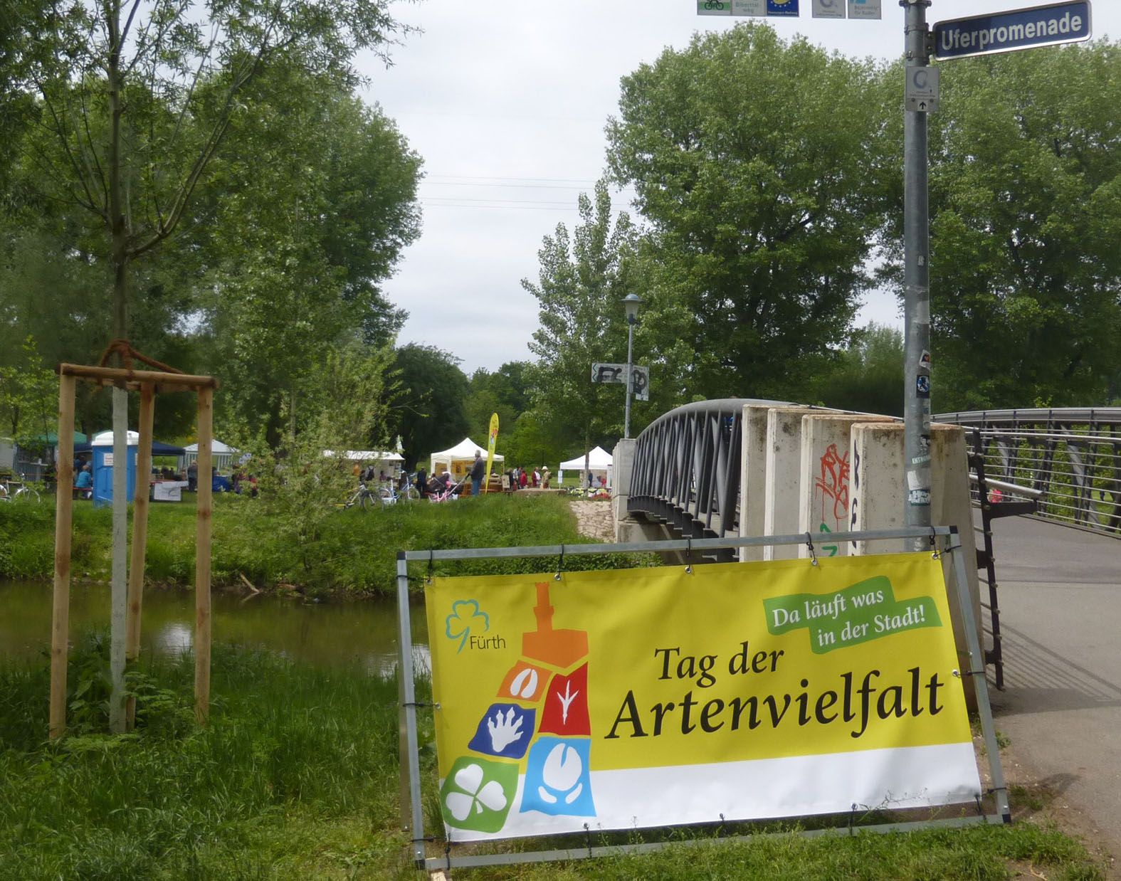 Beim Fürther Tag der Artenvielfalt 2015