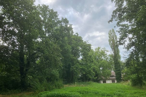 Grünbereich um die sog. Hirschmann-Villa Hirschmann Park Fürth