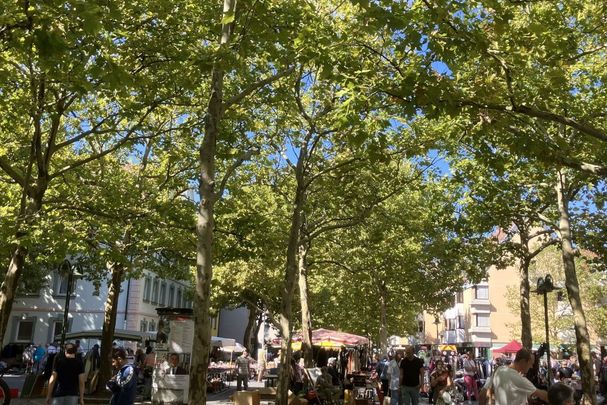 Löwenplatz, Fürth, besser leben, Bäume 