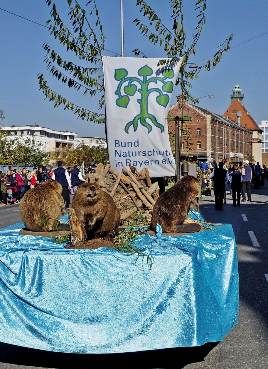 Foto: Ulrich Knapp Fürth Kirchweihzug 2015