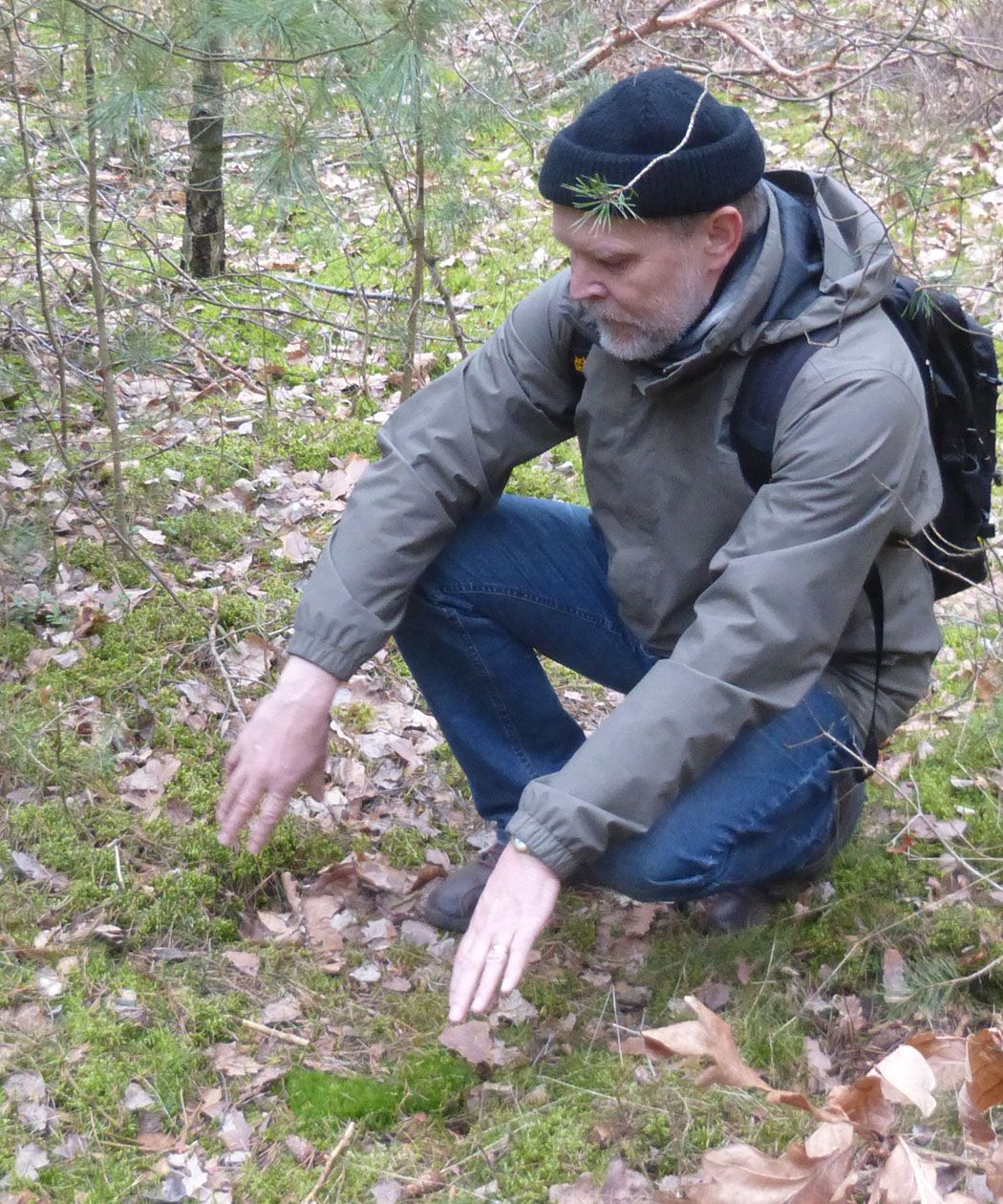 Moosführung im Fürther Stadtwald