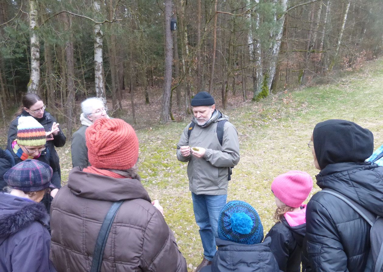 Moosführung im Fürther Stadtwald