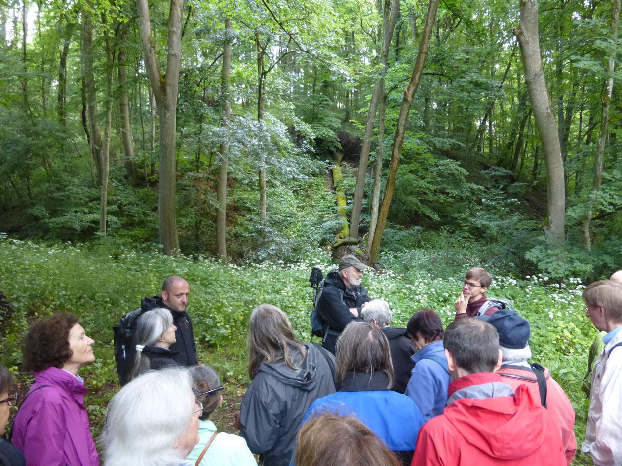 Steigerwaldfahrt 2015