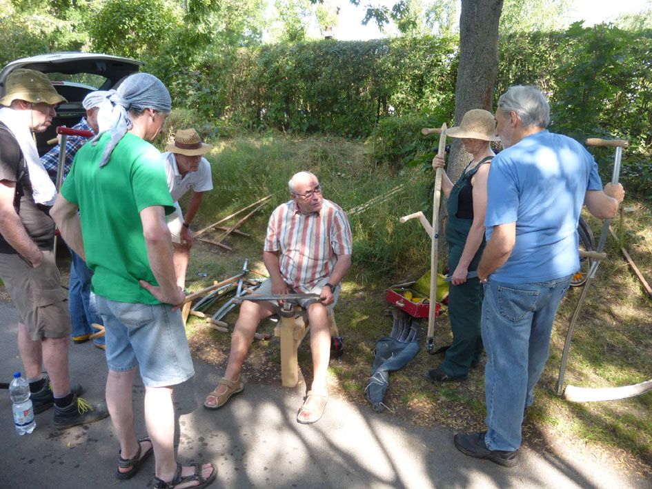 Sensen-Mähkurs am BN-Garten