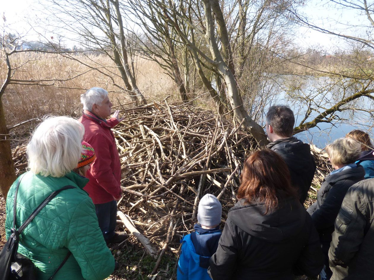 Führung "Auf den Spuren der Biber" bei Vach