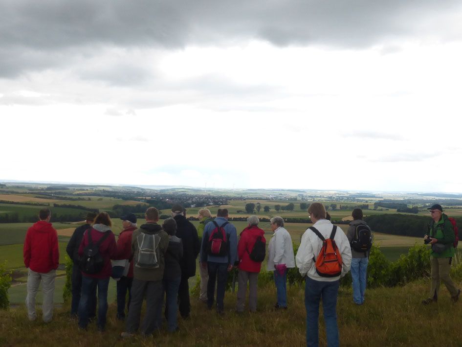 Steigerwaldfahrt 2015