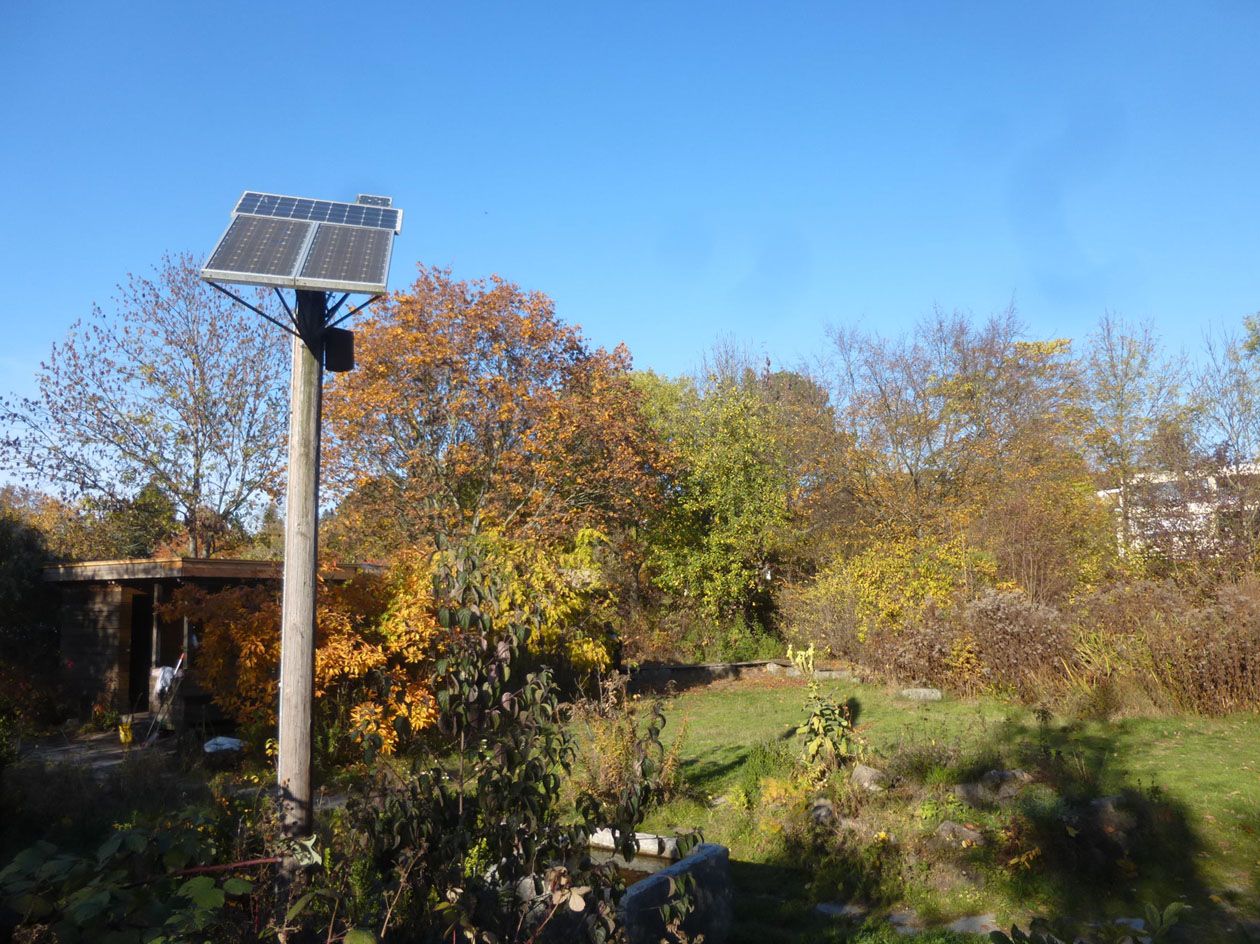 Blick in den BN-Garten