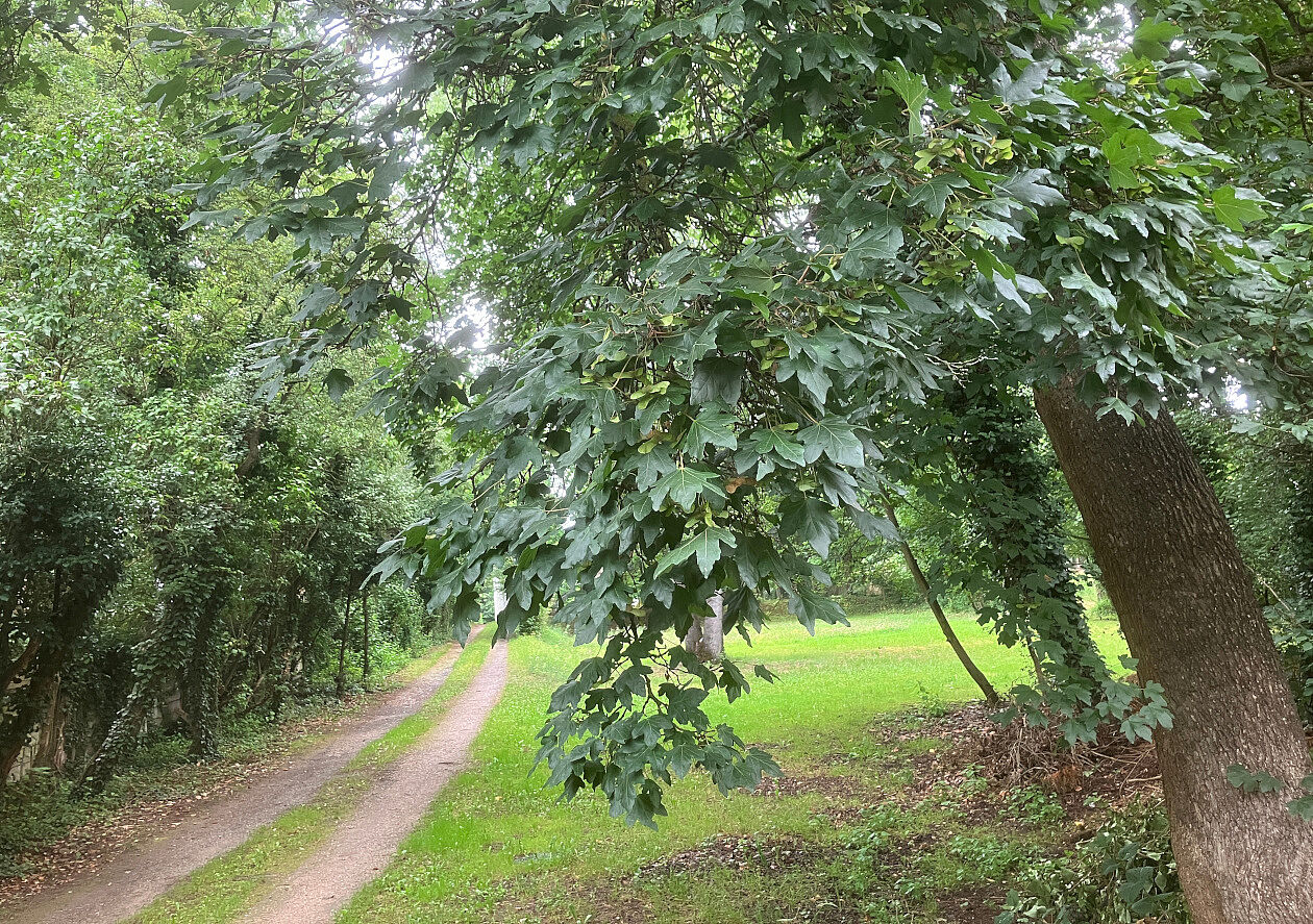 Hirschmann Park Fürth
