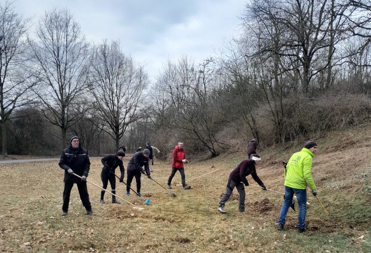 Sandachse Franken Biotoppflege BUND Naturschutz Fürth