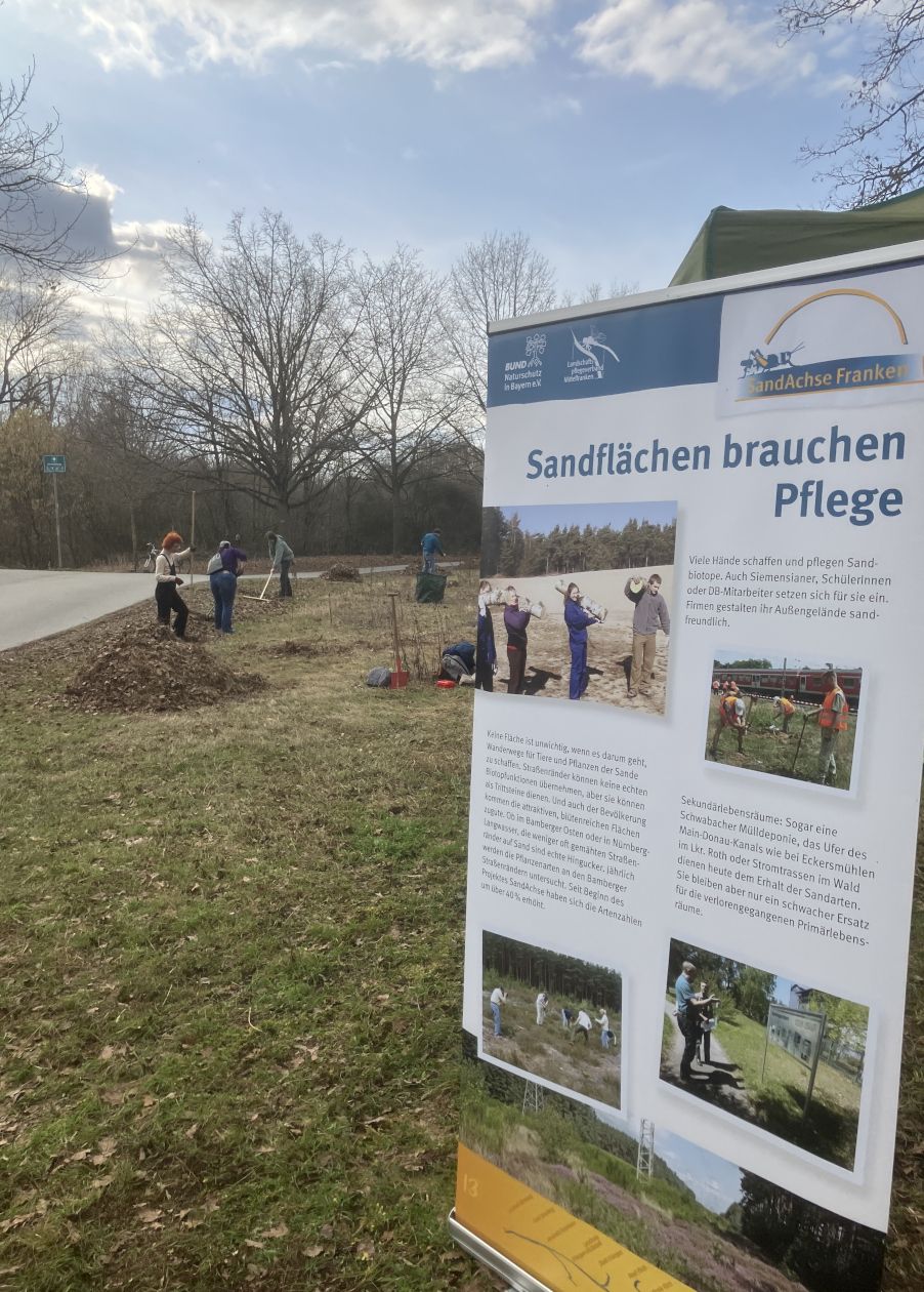 Biotoppflege Fürth Sandachse BUND Naturschutz