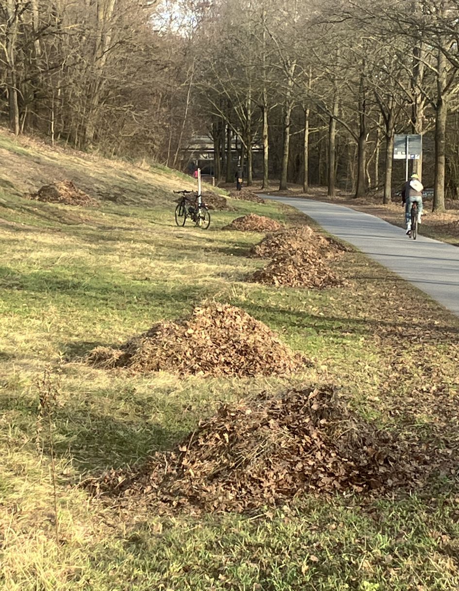 Biotoppflege Sandache BUND Naturschutz Fürth