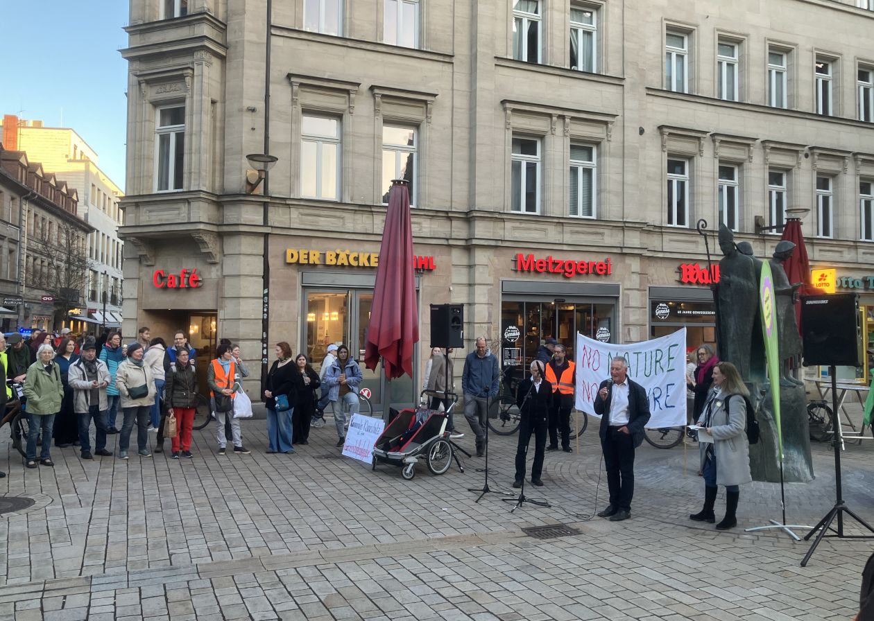 BUND Naturschutz Klima Demo Fürth