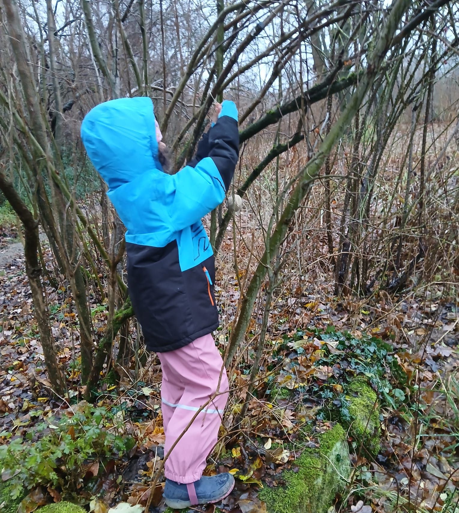 Kindergruppe hängt Meisenknödel auf, Foto: Sabine Scherer Kindergruppe Fürth BUND Naturschutz