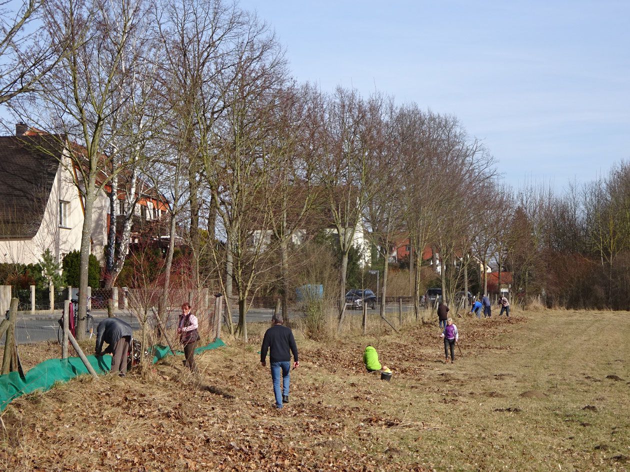 Aufbau des Krötenschutzzaun bei Burgfarrnbach