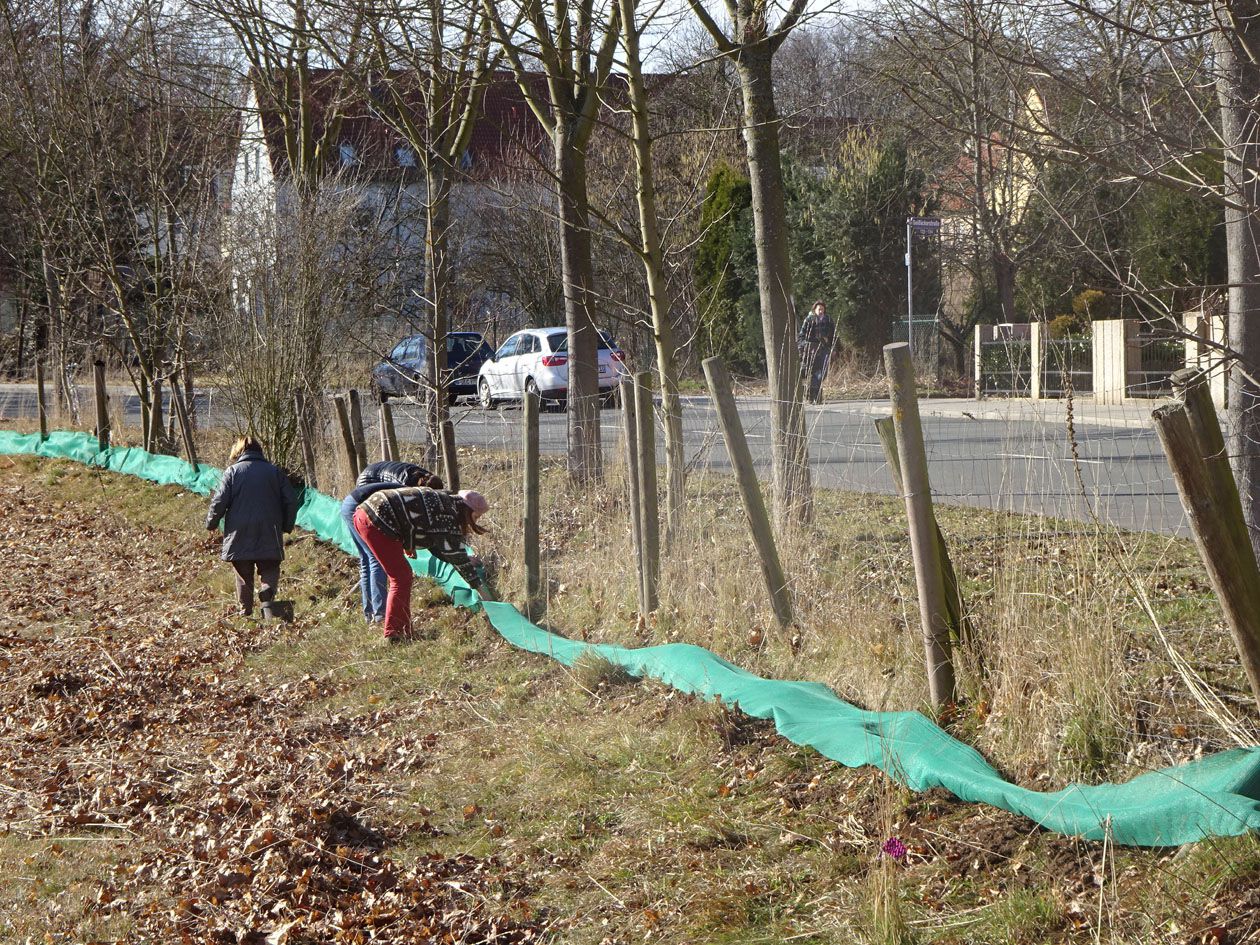 Aufbau des Krötenschutzzaun bei Burgfarrnbach