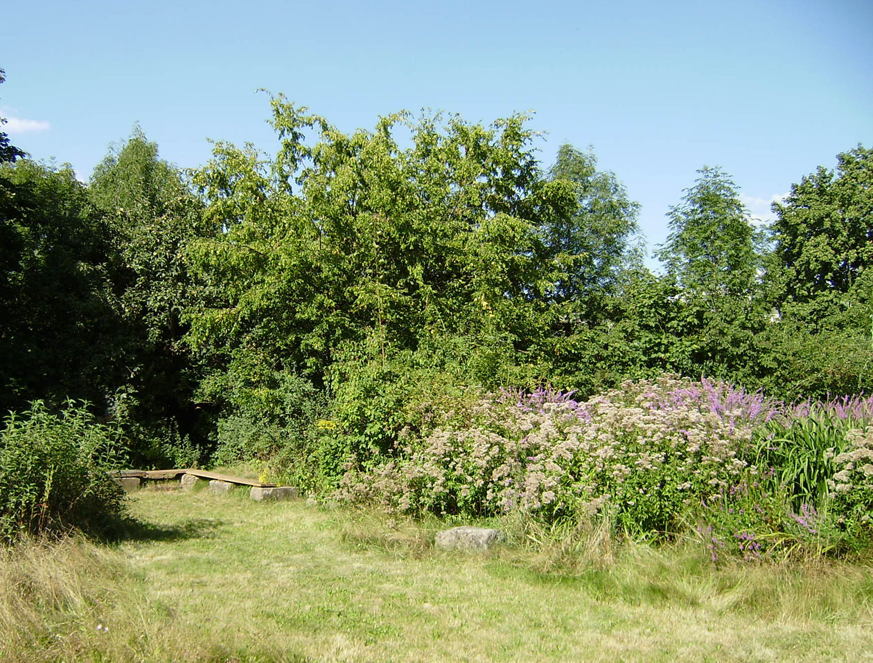 Sitzplatz und blühendes Feuchtbiotop im Sommer