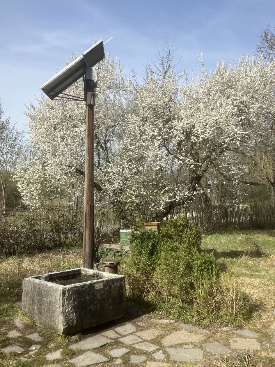 Pflanzentauschbörse 2026 Garten BUND Naturschutz Fürth