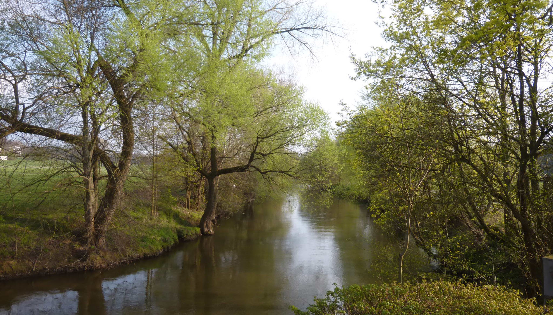 Rednitz an der Dambacher Brücke
