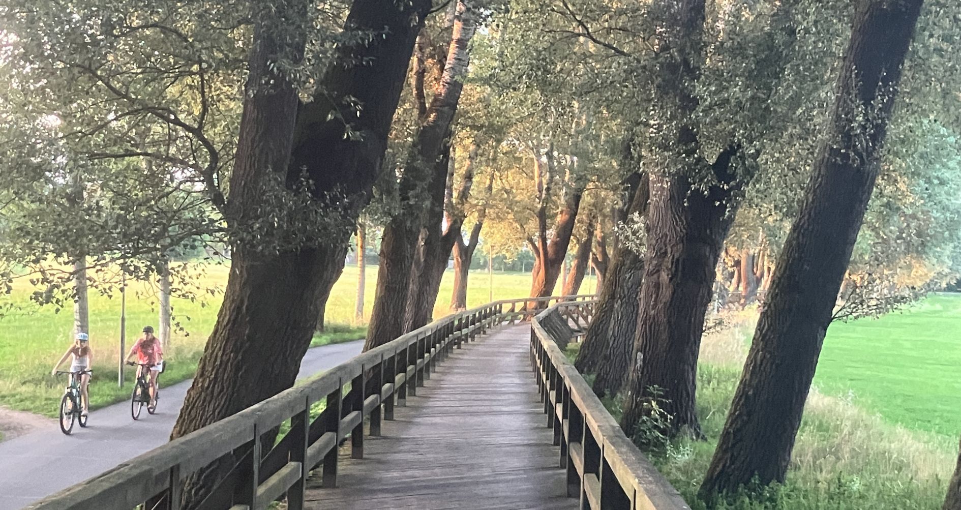 Pappelsteig im Fürther Pegnitztal im Abendlicht