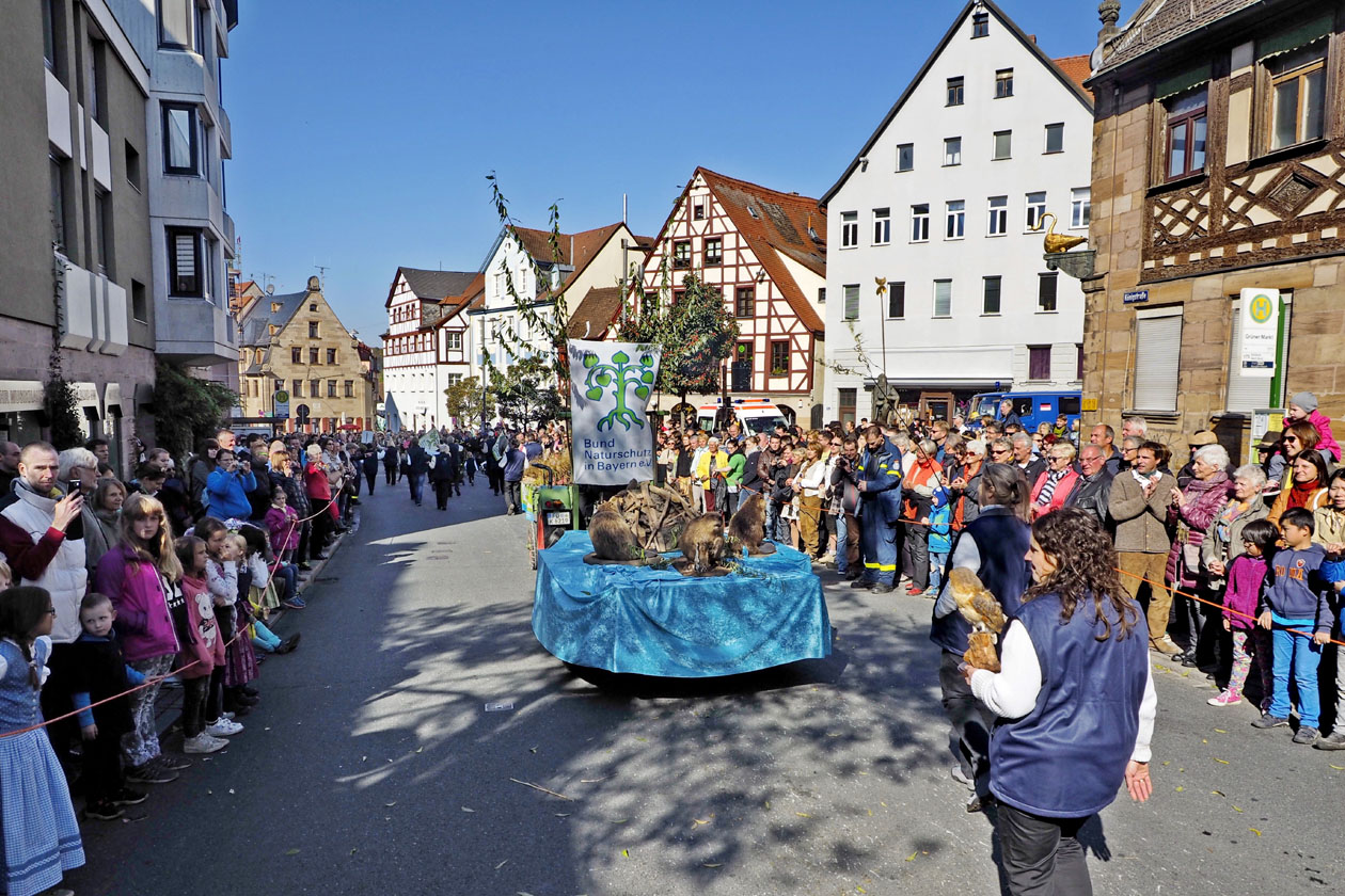 Foto: Ulrich Knapp Fürth Kirchweihzug 2015