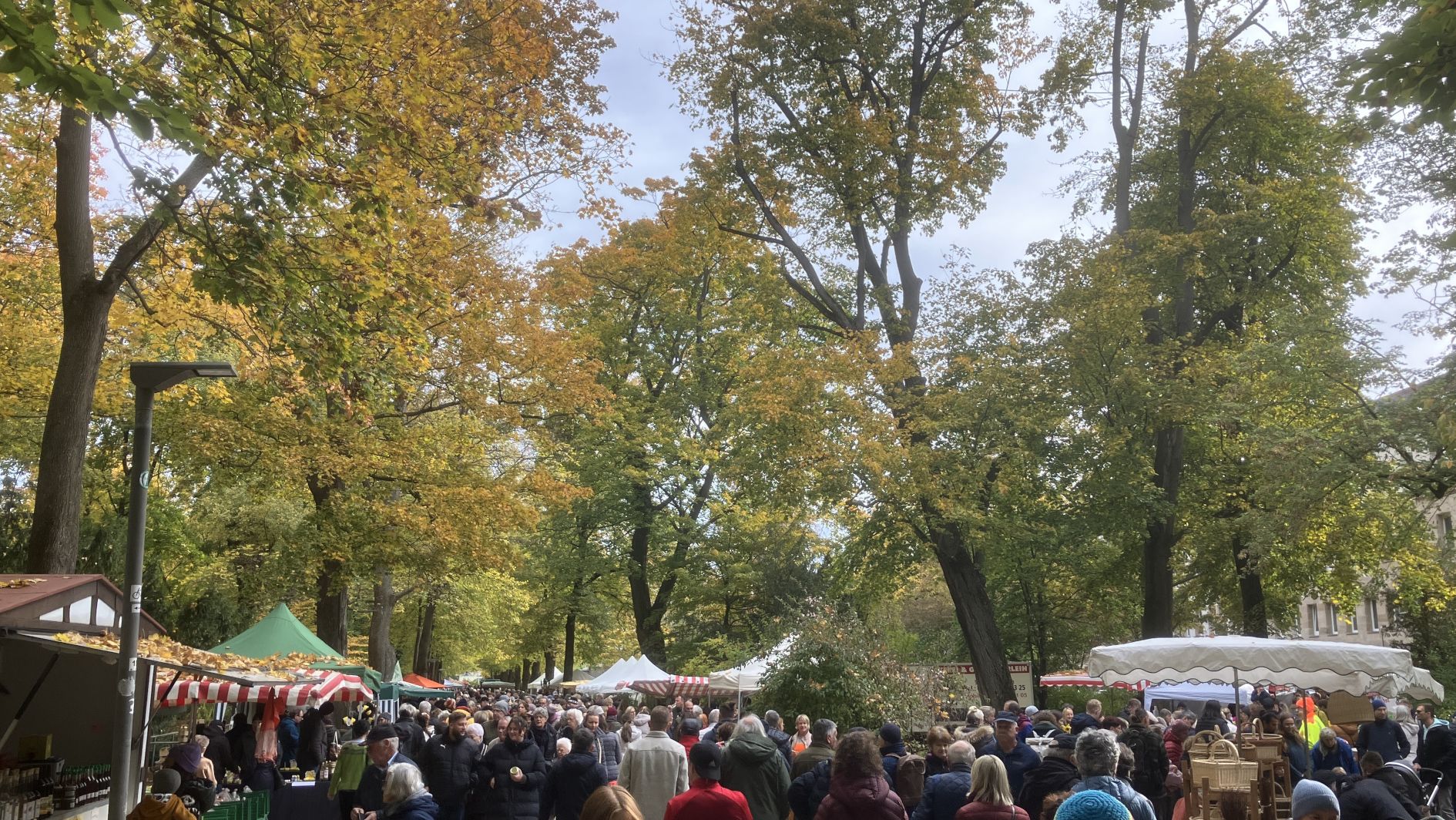 Viel Publikumsinteresse beim Apfelmarkt 2025