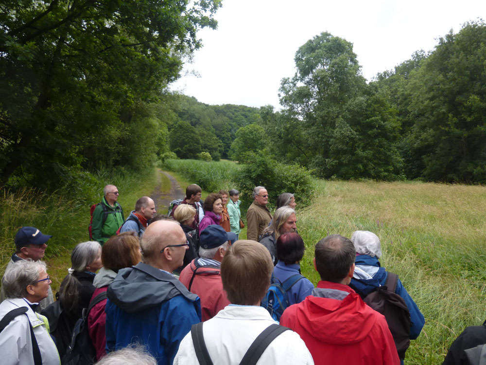 Steigerwaldfahrt 2015